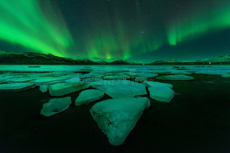 Nordliga ljus (Aurora Borealis) i Island