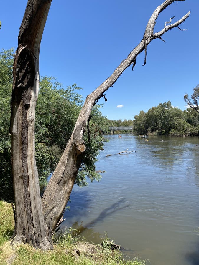 The Noreuil Park Foreshore, Park Sits Right on the Murray River in