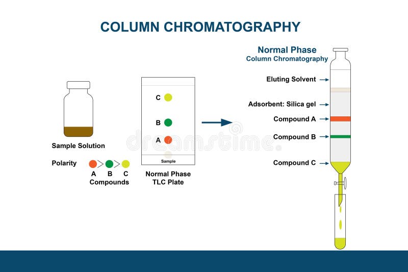 Chromatography Column Stock Illustrations 37 Chromatography Column
