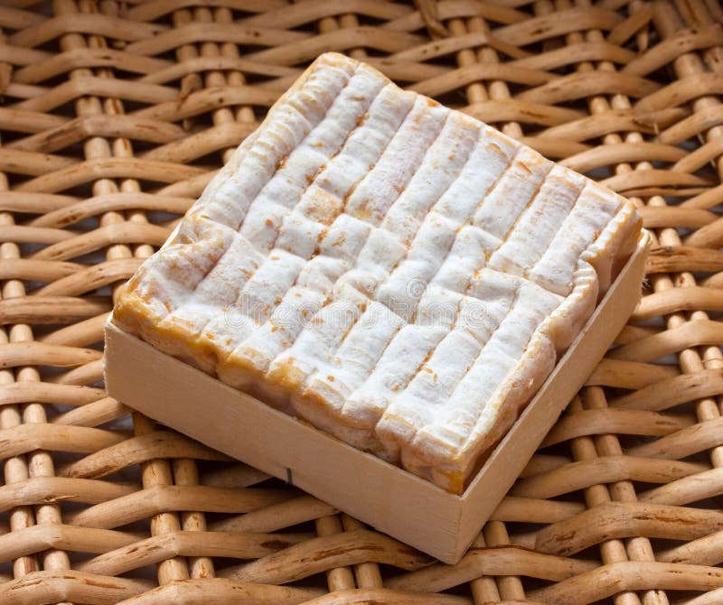 Normandy cheese stock image. Image of normandy, gastronomy 33889485
