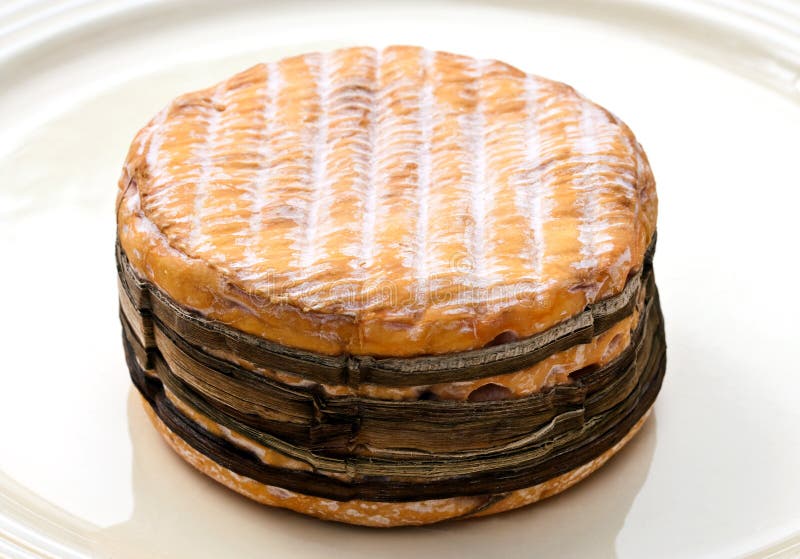 Normandy cheese stock image. Image of normandy, gastronomy 33889485