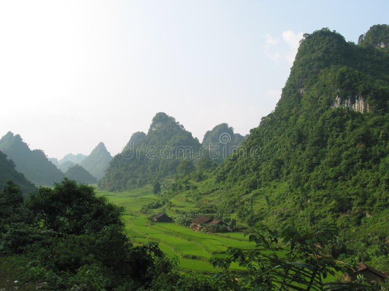norr dal vietnam fotografering för bildbyråer norr dal vietnam fotografering för bildbyråer