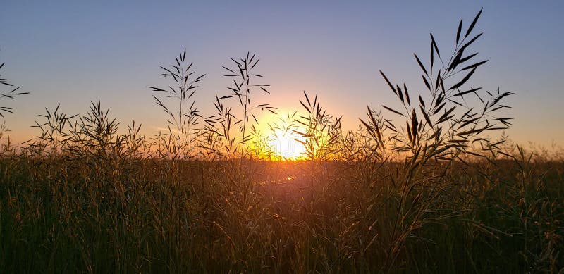 North Dakota Prairie Sunset