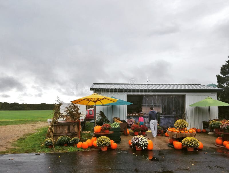 North fork of Long Island editorial stock photo. Image of stand 86465638