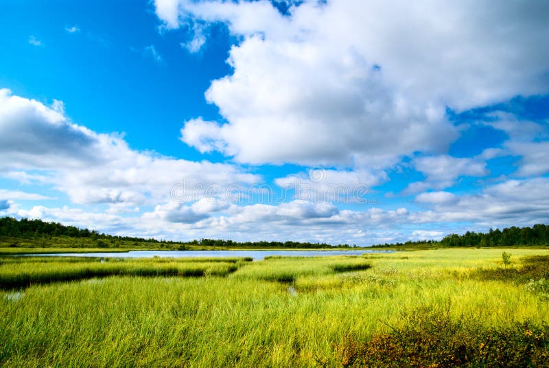 Lake Arbuckle Florida stock photo. Image of epiphytic 42251222