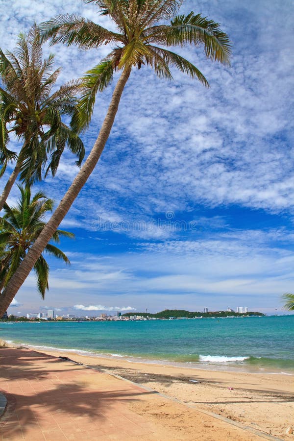 North Pattaya beach and Coconut, Chonburi, Thailand