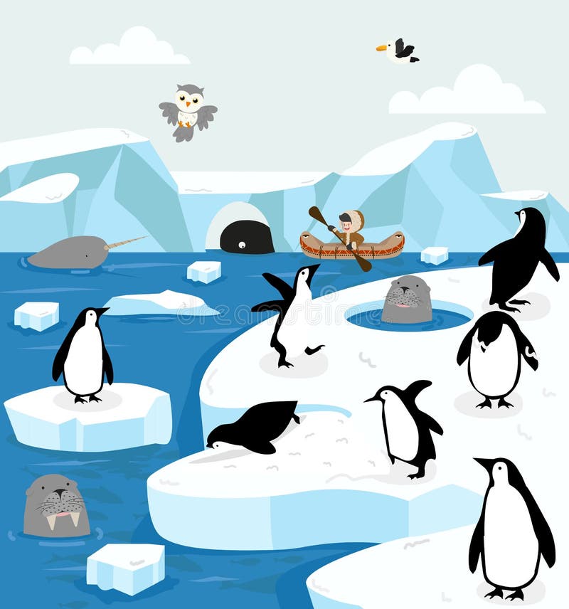 North Pole Arctic Animals Ice Field Stock Vector - Illustration of