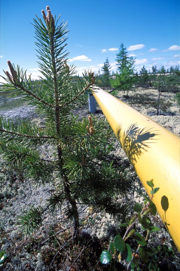 North of Russia. The natural gas production. royalty free stock photos