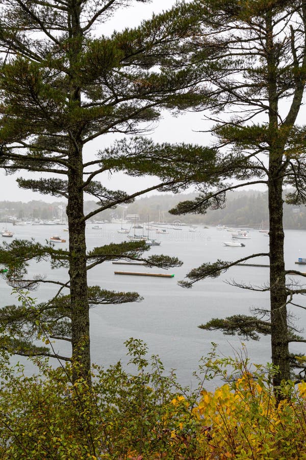 Northeast Harbor, Mount Desert Island, Maine. View of Northeast Harbor on Mount Desert Island in Maine with Trees in the Foreground royalty free stock image Northeast Harbor, Mount Desert Island, Maine. View of Northeast Harbor on Mount Desert Island in Maine with Trees in the Foreground royalty free stock image