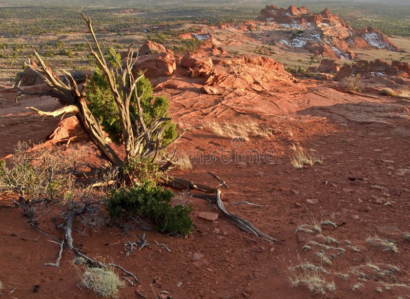 Northern Arizona Wilderness