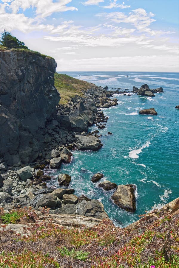 Northern CA coast stock photo. Image of looking, forest 77532116