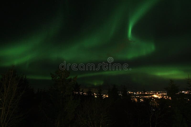 Northern Light above Leknes in Lofoten