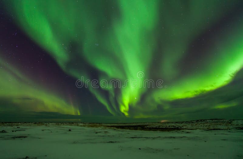 Northern lights royalty free stock images