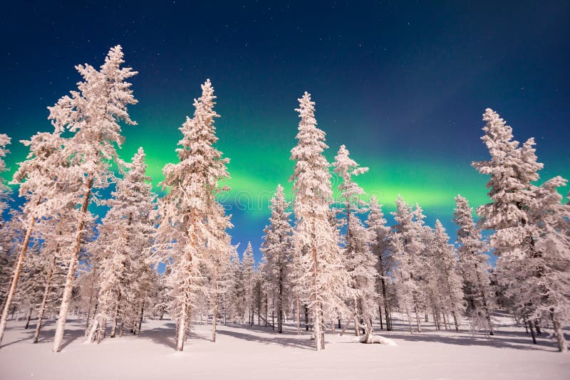 Northern lights, Aurora Borealis in Lapland Finland