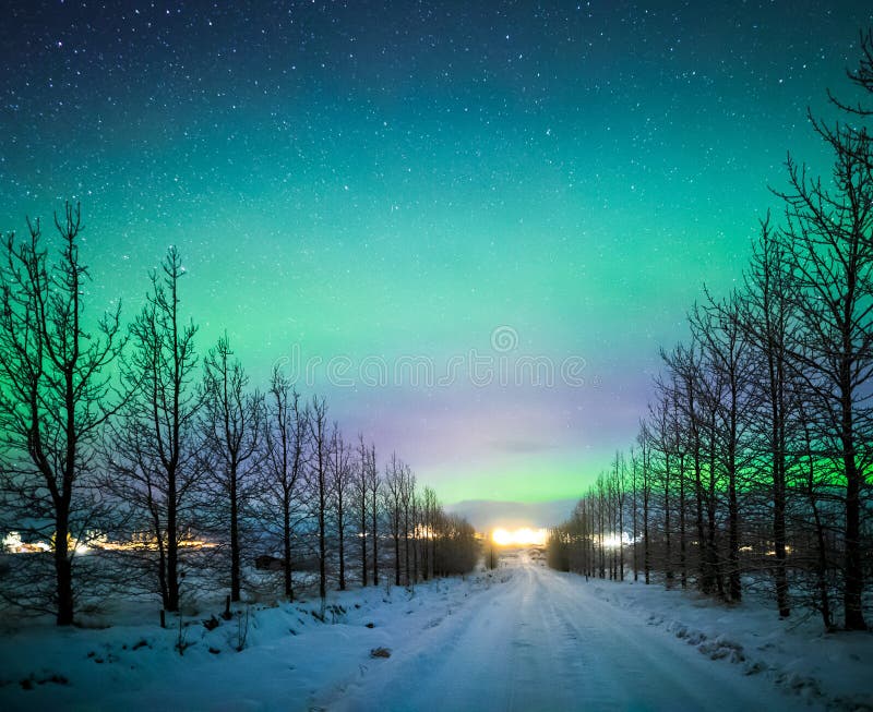 Northern lights Aurora Borealis over frozen trees and snow covered road in winter of Iceland royalty free stock photo Northern lights Aurora Borealis over frozen trees and snow covered road in winter of Iceland royalty free stock photo