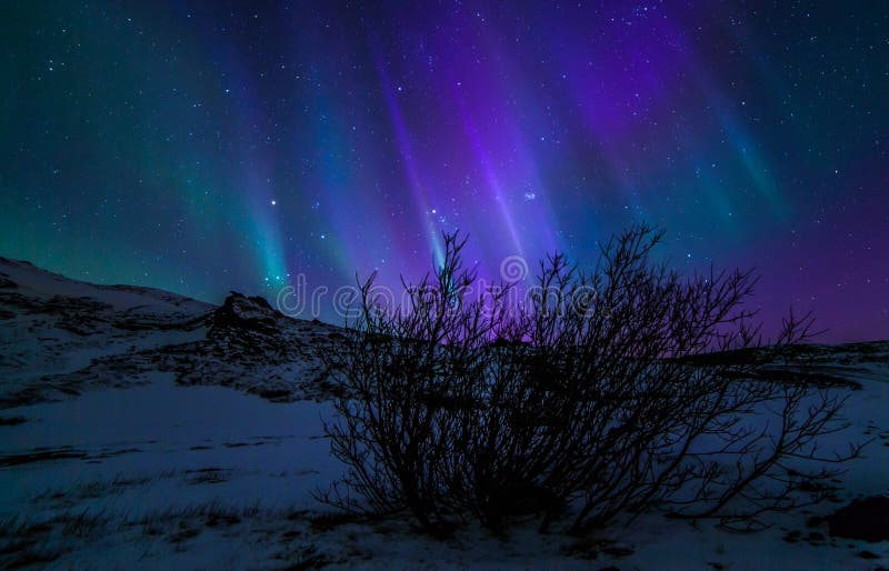 Northern Lights royalty free stock photo