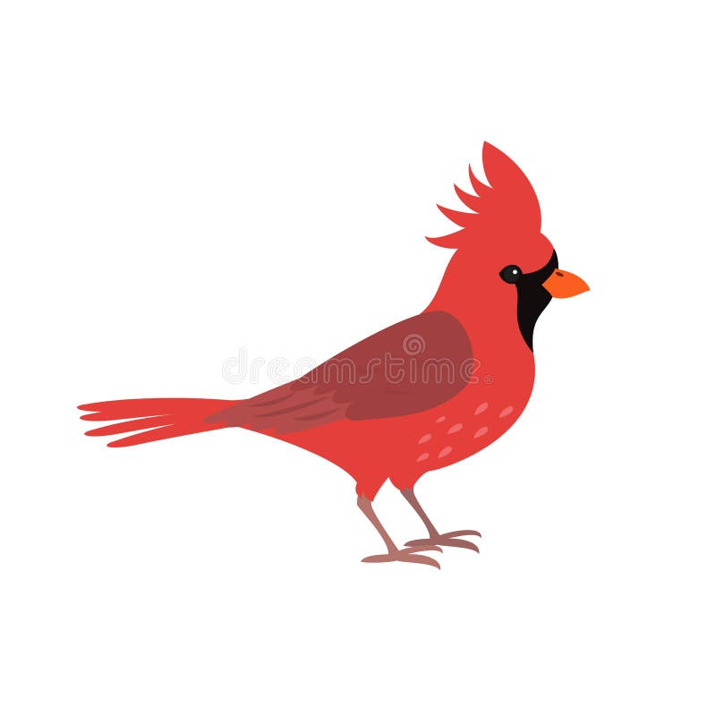 0 Northern Cardinal Drawing Free Stock Photos Stockfreeimages