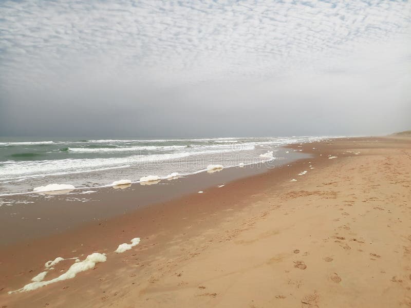 Northern Sea spitting foam on the clean sand beach with the cold waves