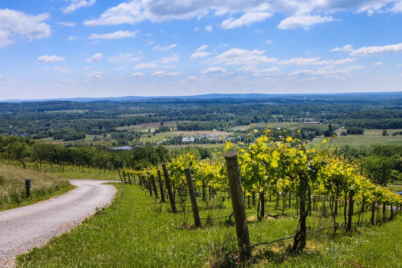 Northern Virginia Countryside