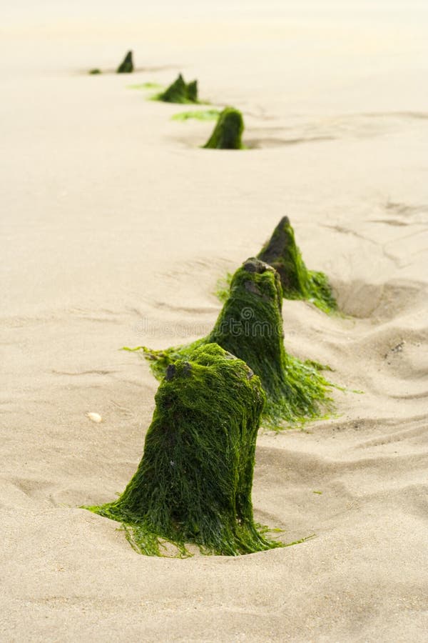 Northumbrian Shipwreck 1