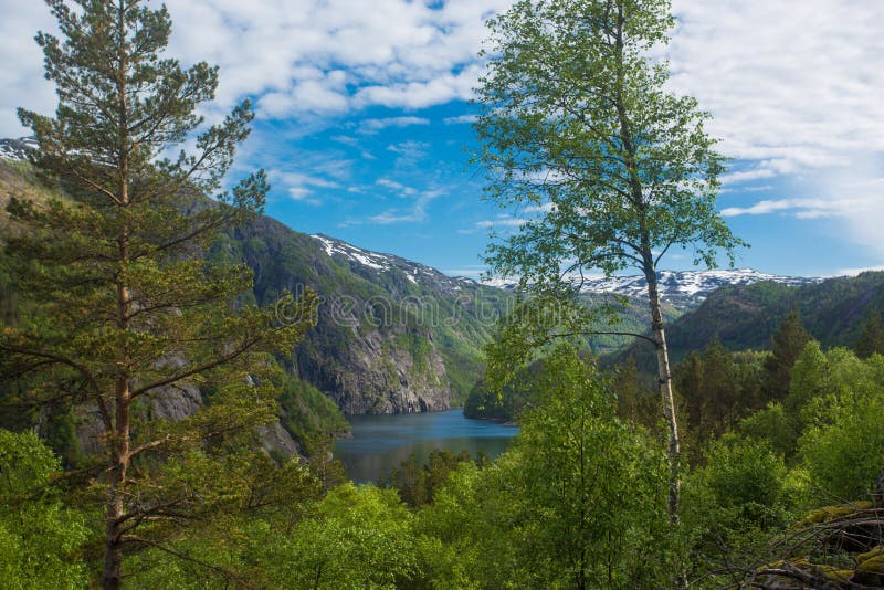 Norwegian landscape