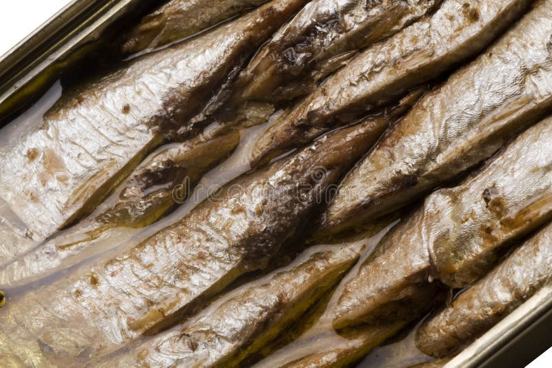 Norwegian sardines in can stock photo. Image of white 9944944