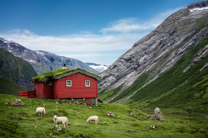 Norwegian typical grass roof wooden house in a sunny scandinavian panorama