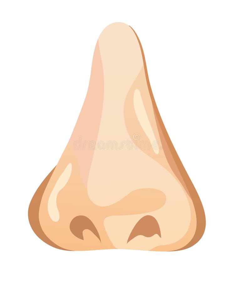 Nose stock illustration