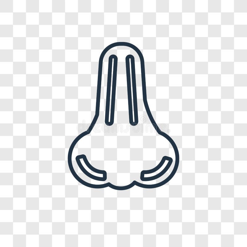 Nose concept vector linear icon isolated on transparent background, Nose concept transparency logo in outline style stock illustration Nose concept vector linear icon isolated on transparent background, Nose concept transparency logo in outline style stock illustration