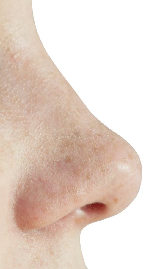 Nose isolated on white stock photo. Image of isolated - 102612546