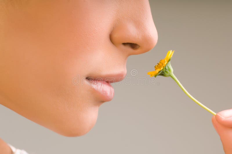 Dama Cerca a tú sobre el flor.