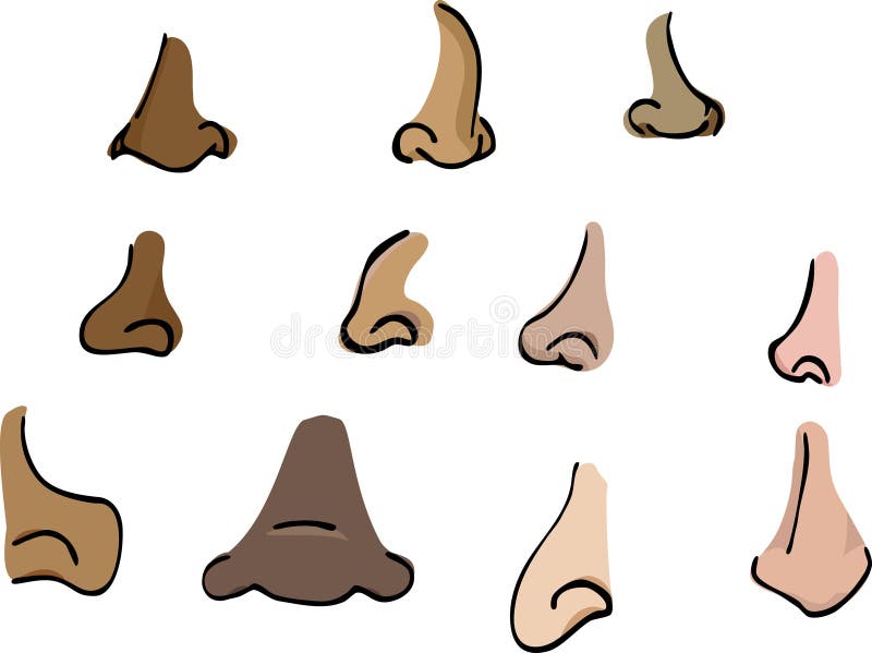 Noses I stock illustration