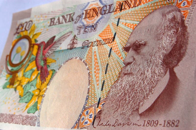 A Bank of England banknote worth ten pounds sterling showing the face of the naturalist Charles Darwin, famous for his work on evolution 'The Origin of Species'. A Bank of England banknote worth ten pounds sterling showing the face of the naturalist Charles Darwin, famous for his work on evolution 'The Origin of Species'.