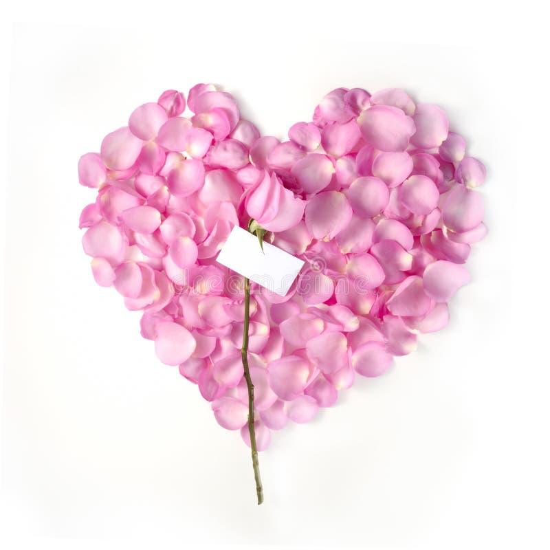 Nota en blanco de la tarjeta del día de San Valentín fotos de archivo libres de regalías Nota en blanco de la tarjeta del día de San Valentín fotos de archivo libres de regalías