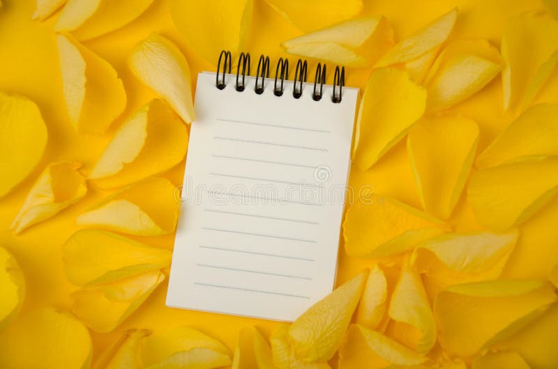 Note pad open empty sheet in rose petals on solid color paper background romantic template stock photos