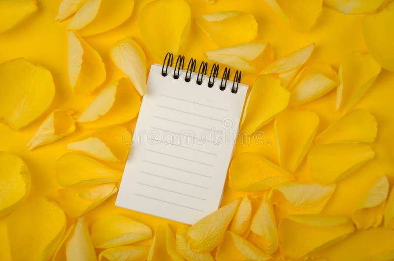 Note pad open empty sheet in rose petals on solid color paper background romantic template royalty free stock images