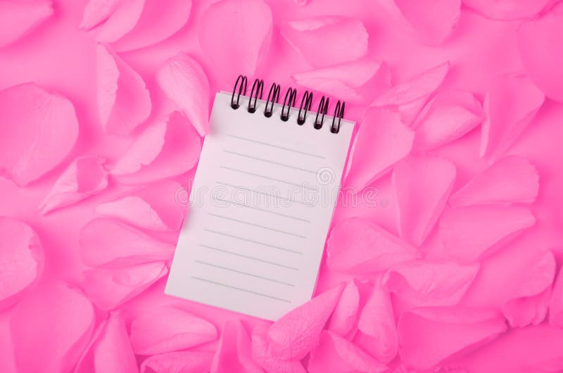 Note pad open empty sheet in rose petals on solid color paper background romantic template royalty free stock images