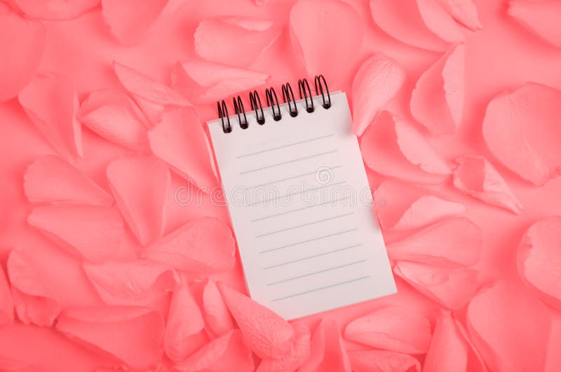 Note pad open empty sheet in rose petals on solid color paper background tic template image