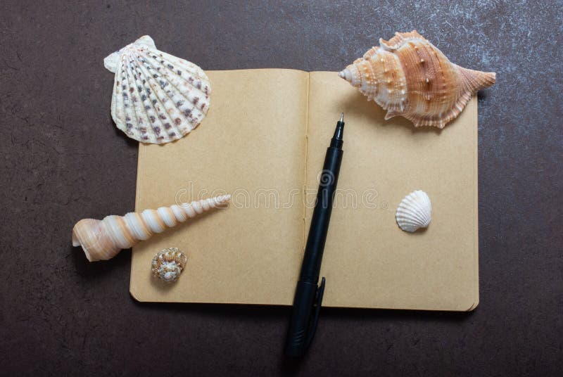 Notebook con penna e gusci di mare sullo sfondo di colore marrone fotografie stock