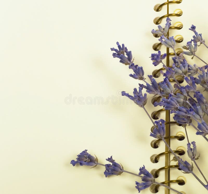 Notebook and dry lavender