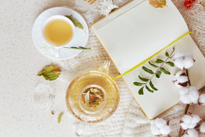 Notebook-Modell. Naturkräutertee in Teekanne mit Tasse Tee. trockene Duftblätter Herbstdekorationen mit lizenzfreie stockfotos