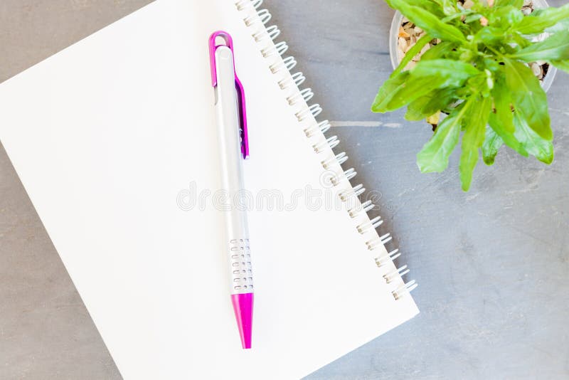 Notepad, penna och grön växt på grå bakgrund arkivfoton Notepad, penna och grön växt på grå bakgrund arkivfoton
