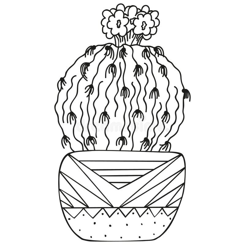 Cactus Coloring Page - Desenho De Cacto Preto E Branco - Free