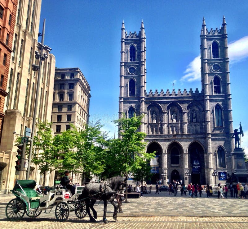 Notre Dame Basilica stock photography Notre Dame Basilica stock photography