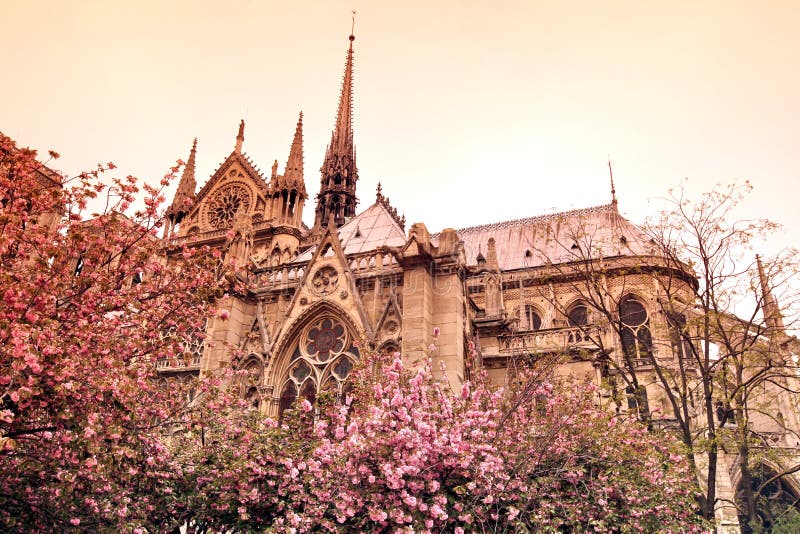 Notre Dame de Paris cathedral, France. Gothic architecture