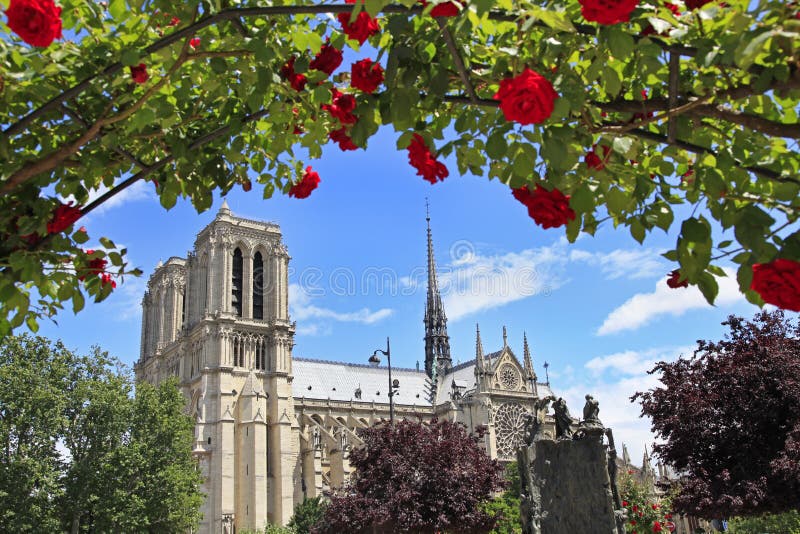 Notre Dame de Paris Cathedral, France, roses sur le premier plan photos stock Notre Dame de Paris Cathedral, France, roses sur le premier plan photos stock