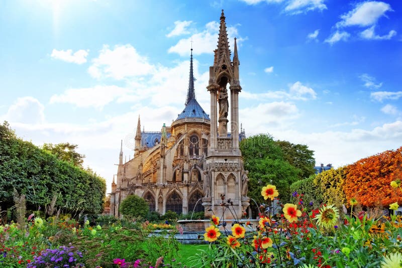 Dama París catedral, jardín flores.