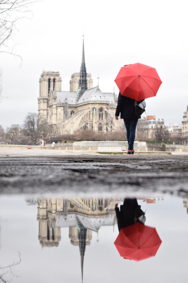 252 Red Umbrella Paris Stock Photos Free & RoyaltyFree Stock Photos