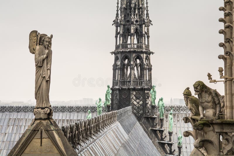 Notre dame`s rooftop and spire at Paris, France