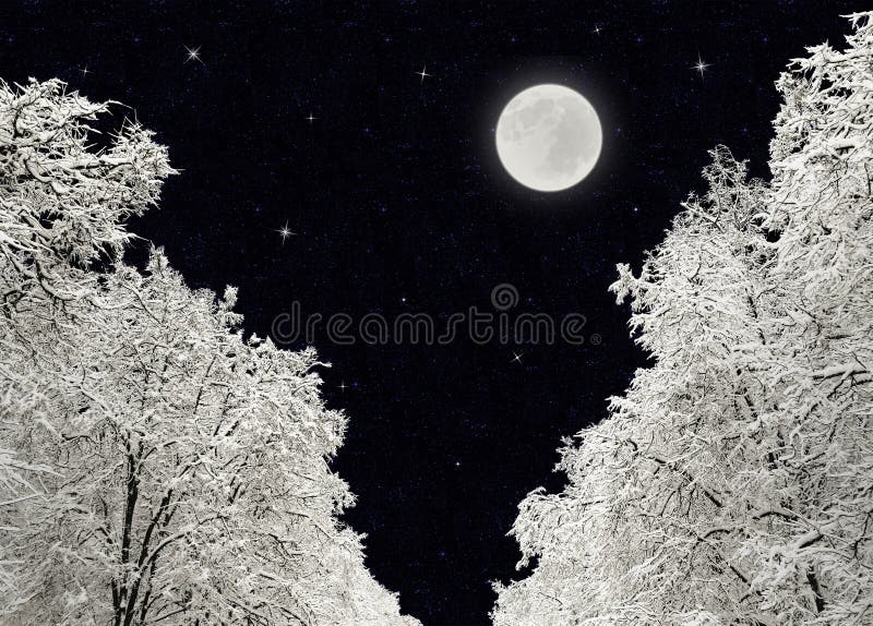 Alberi E Neve Della Luna Piena Foto Foto Stock Gratis E Royalty Free Da Dreamstime